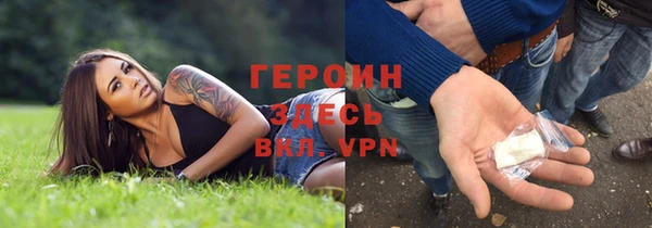 прущие грибы Михайловка