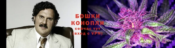 тгк Володарск