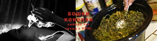 ГАЛЛЮЦИНОГЕННЫЕ ГРИБЫ Михайловск