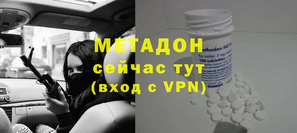 прущие грибы Михайловка