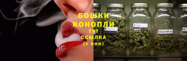 ГАЛЛЮЦИНОГЕННЫЕ ГРИБЫ Михайловск