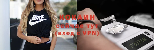 прущие грибы Михайловка