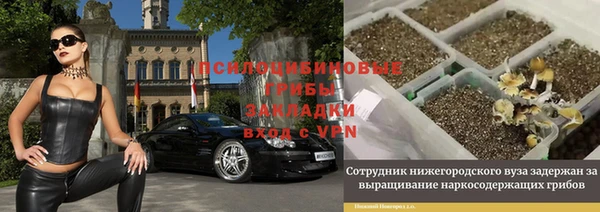ГАЛЛЮЦИНОГЕННЫЕ ГРИБЫ Михайловск