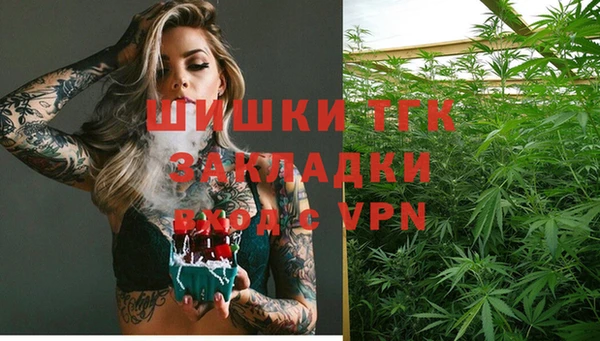 прущие грибы Михайловка