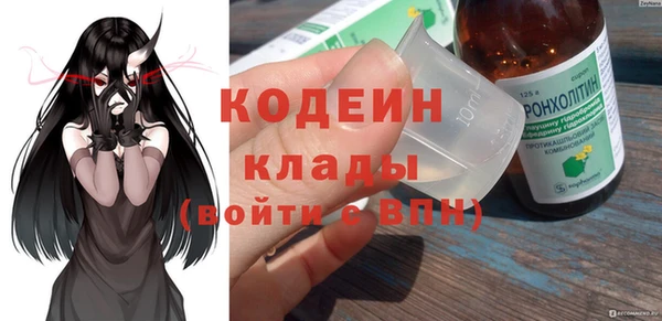 прущие грибы Михайловка