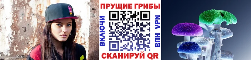 Псилоцибиновые грибы GOLDEN TEACHER Благовещенск